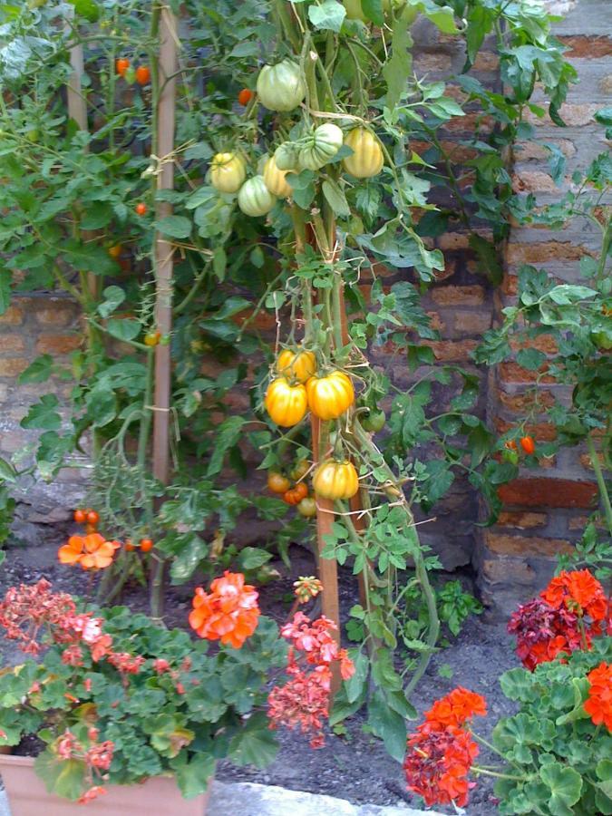 Ca' Ermina & Garden Apartment Venice Luaran gambar